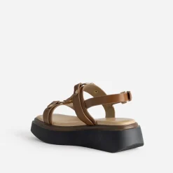 Sandale TEXTO cognac anneaux et clous