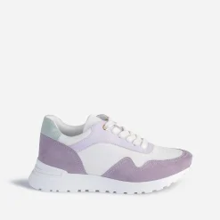 Tennis TEXTO parme, blanche, verte